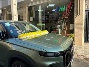 گل نیلوفر آبی 3