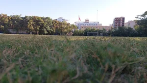 زمین چمن فوتبال