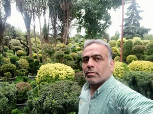 استان فارس شهرستان لامرد بلوار شهید نعیمی خیابان گلستان