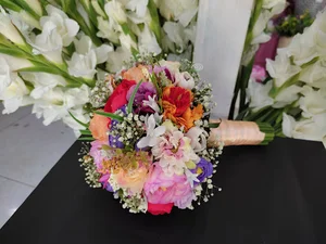 گلسرای پاسیو ستاره
