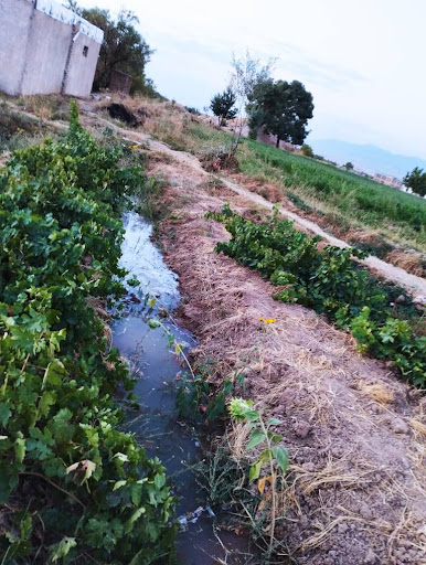باغ حسن رضا