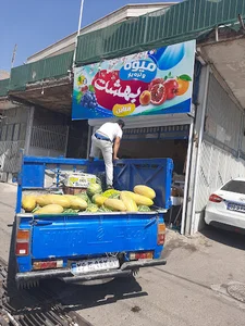 میوه سرای بهشت شعبه یک