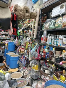 لوازم پرندگان زینتی سام برد 2 5
