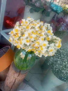 گل فروشی آفتاب 2
