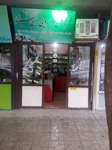 داروگیاهی ابن سینا