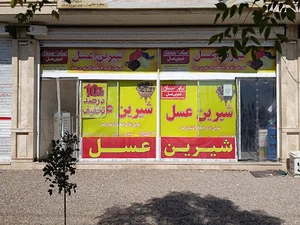 شیرین عسل زاویه