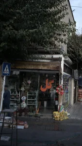 قصر گل بهار 4