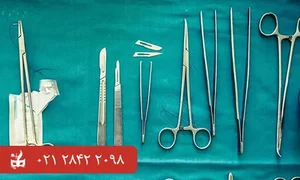 پویندگان سلامت پاسارگاد