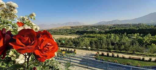 باغ داکتر نوید
