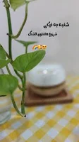 صبح بخیر، شنبه شروع هفته