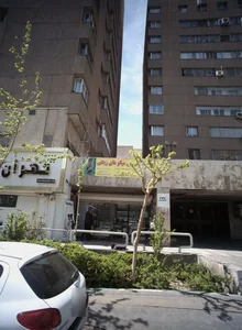 فروش میگوهای زینتی 2