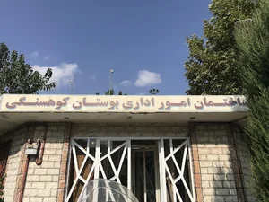 امور اداری بوستان کوهسنگی