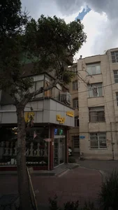 گلکده اریکا 2