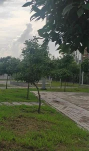 پارک بهار نارنج 2
