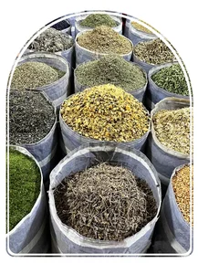 علی کیانی