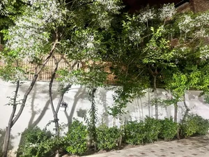 مهمانپذیر فرآیین فرهنگ 3