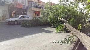 خیابان تختی