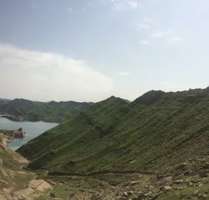 گارا
