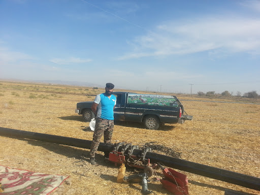 کالای طب سینوهه