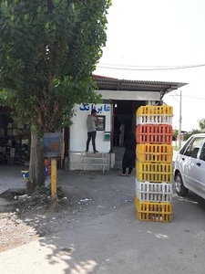 مرغ فروشی حاجی
