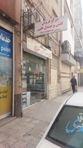 فروشگاه کیف و کفش پادوکا 2