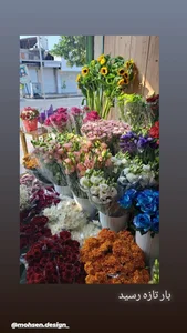 گل فروشی 4