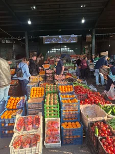 میدان تره بار 5