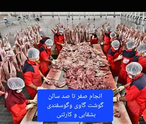 شیرآلات رفیع نوین