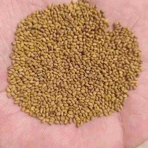 فروشگاه بذر یونجه حسن بیات