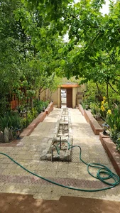سفره خانه شب نشین