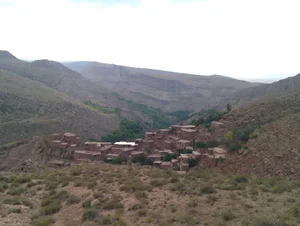 وگانوس (لوازم جانبی و قطات گوشی)