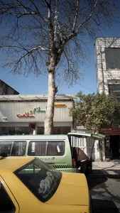 گیاهان دارویی اسلام وسلامت 2