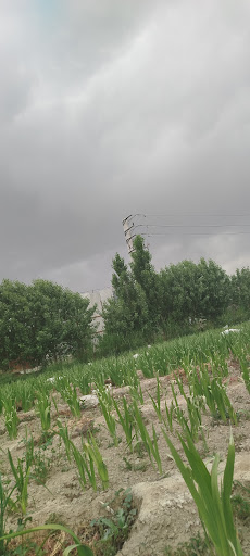 چهاردانگه