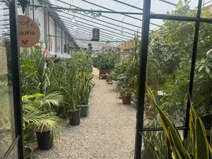 Naaria Greenhouse cafe 3