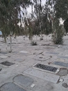 قبر آیت الله آقا سید حسین قاضی طباطبایی