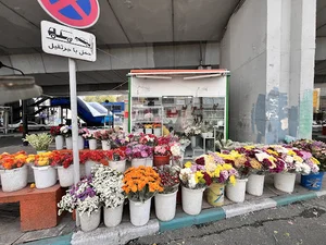 دکه گل فروشی پل سیدخندان