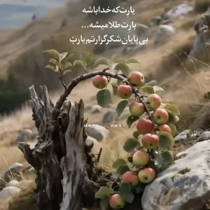 ابزار یراق و ساختمانی رزاق 3