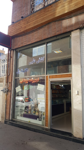 تجهیزات پزشکی حکیم