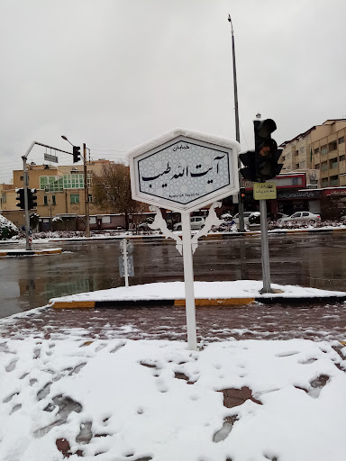 خیابان طیب