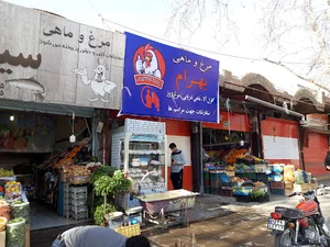مرغ ماهی بهرام