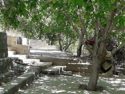 باغ تفریحی شکوفه باران