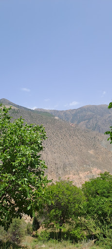 ده پشت