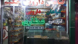 عطاری حکیم (سید) 3