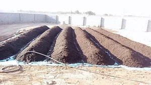 تولید کننده کود ارگانیک ورمی کمپوست در جوزدان