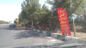 نهالستان رایان 2