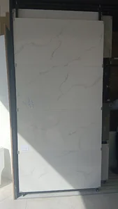 هولدینگ زاراشا