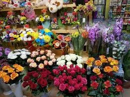 گلفروشی شقایق