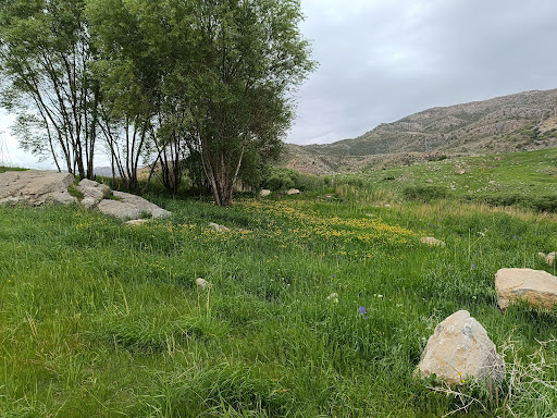 باغ و زمین کشاورزی محسن مهدوی