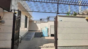 فیزیوتراپی شفا