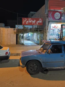 عکاسی چهره طلایی
